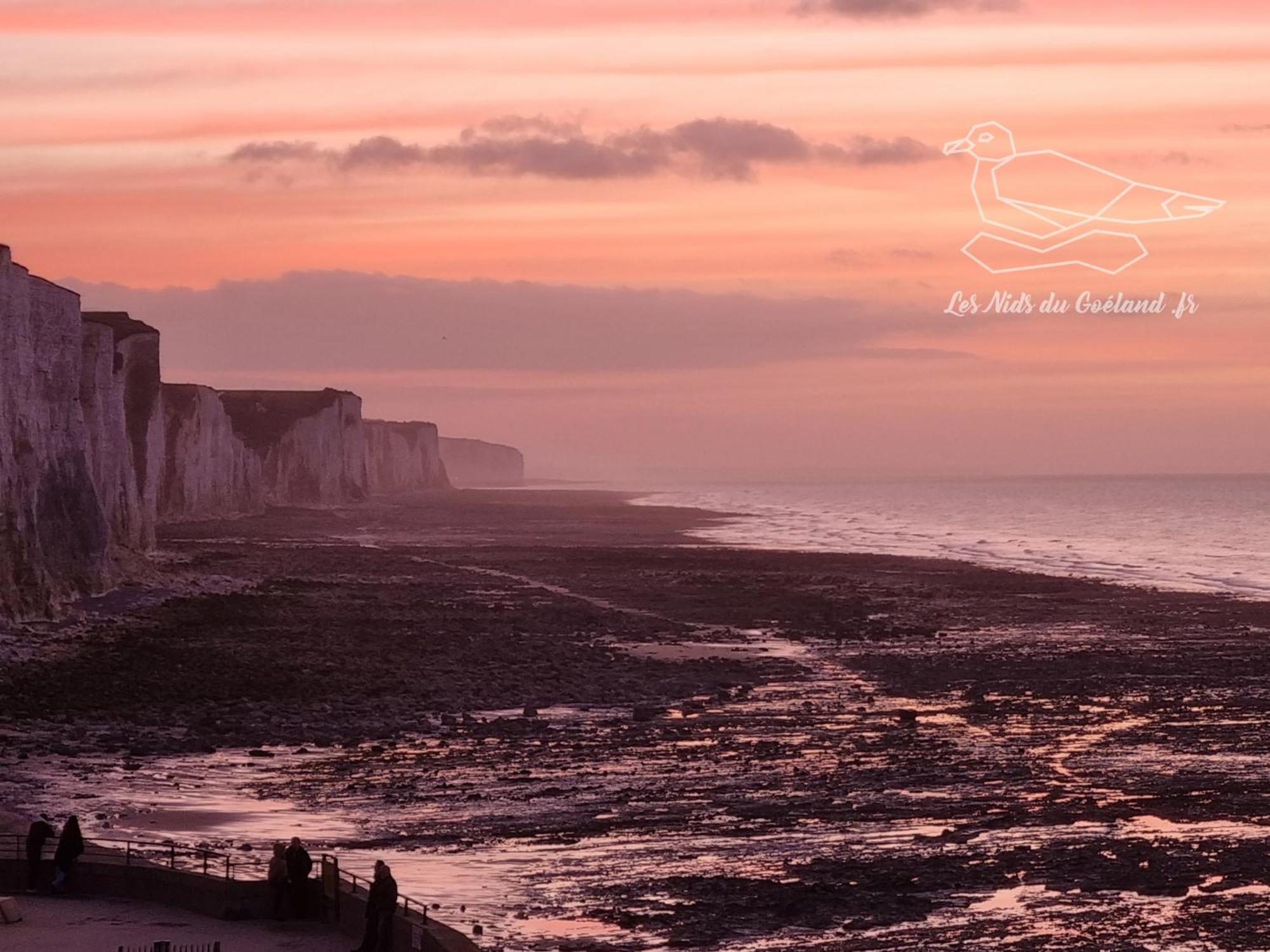 Gite Oasis Ault - Cine, Balneo & Confort A La Mer エクステリア 写真
