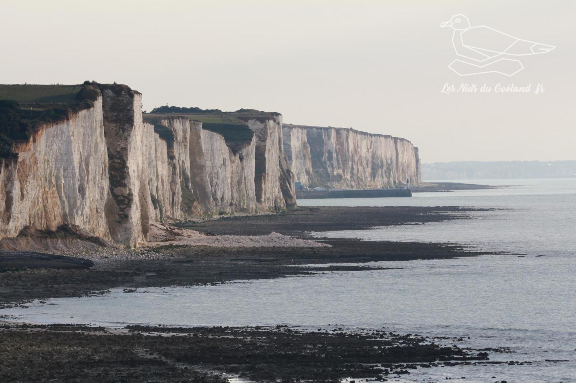 Gite Oasis Ault - Cine, Balneo & Confort A La Mer エクステリア 写真